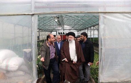 رئیس جمهور ۳۵۰ گلخانه روستایی را افتتاح کرد