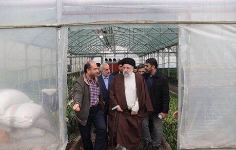 رئیس جمهور ۳۵۰ گلخانه روستایی را افتتاح کرد