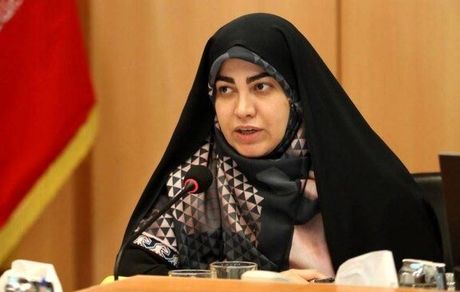 لزوم برخورد قوه قضائیه با سازمان‌های متخلف عدم اجرای قانون هوای پاک