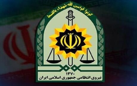 دستگیری ۴۴ سارق طی یک روز در استان کرمانشاه