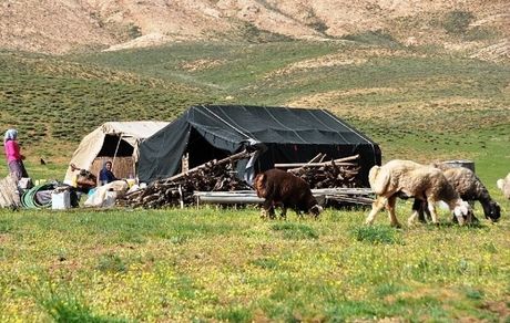 کوچ بهاره عشایر استان تهران از اواخر فروردین آغاز می‌شود