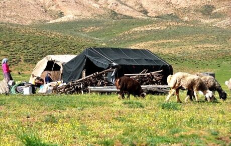 کوچ بهاره عشایر استان تهران از اواخر فروردین آغاز می‌شود