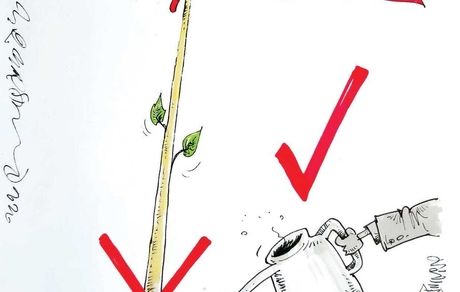 کارتون| الان زمانِ حمایت از پرسپولیس است