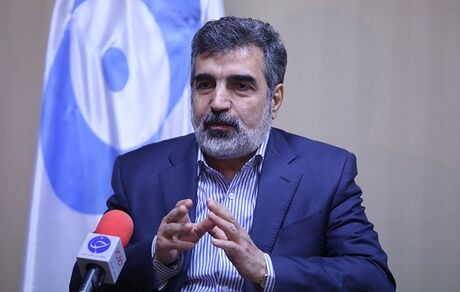 ایجاد نیروگاه‌های هسته‌ای امری فانتزی نیست بلکه بخشی لاینفک و ضروری از نیاز کشور است