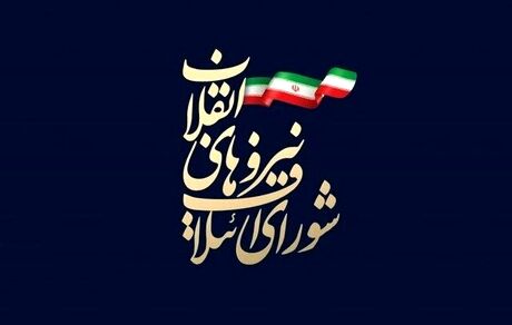 کلیات طرح نظارت بر منتخبان شوراهای شهر و مجلس تصویب شد