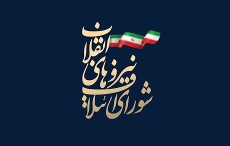 کلیات طرح نظارت بر منتخبان شوراهای شهر و مجلس تصویب شد