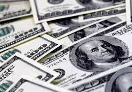 حسینی: ۲.۶ میلیارد دلار ارز اختصاصی به خرید کالا تاکنون تعیین تکلیف نشده است