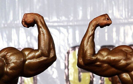 نفرات منتخب تیم‌ملی به روی سکو رفتند