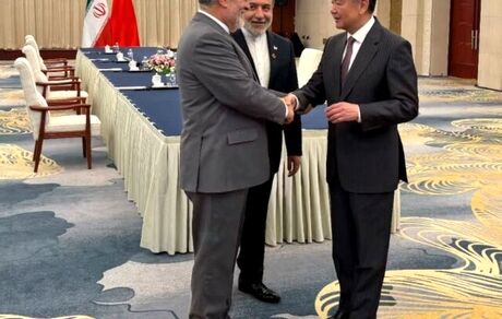 رحمانی فضلی: دیپلماسی فعال ایران با راهبردی مقتدرانه حرکت می‌کند