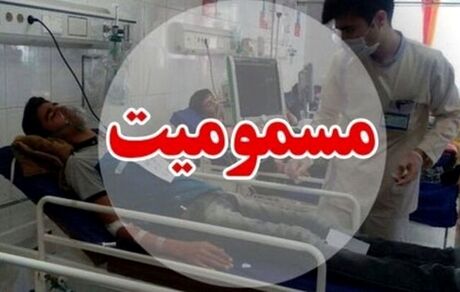 چهار عضو یک خانواده بویراحمدی مسموم شدند