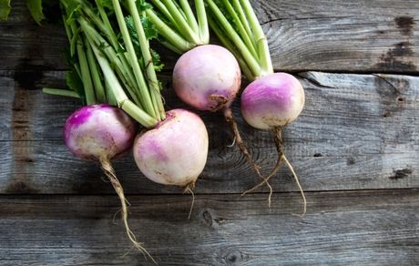 در این روزهای ویروسی، به هزار و یک دلیل، شلغم را از دست ندهید