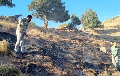 بخشی از مزارع گندم و بادام در سمیرم سوخت