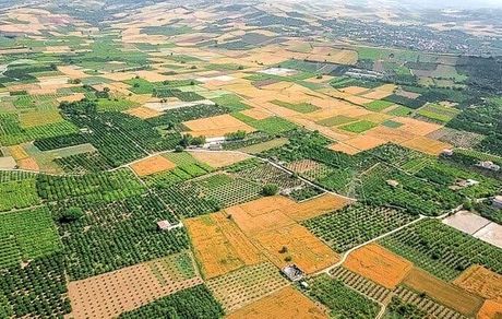 شیوه‌نامه یکپارچه‌سازی و تجمیع اراضی کشاورزی ابلاغ شد