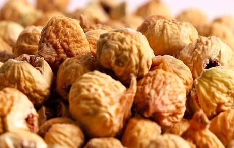 پیش بینی برداشت ۳۸ هزار تن انجیر خشک در استان فارس