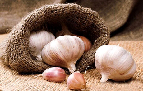 فواید جالب سیر برای بدن انسان