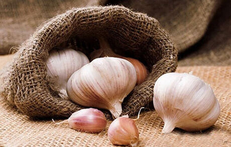 فواید جالب سیر برای بدن انسان