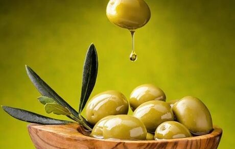جشنواره ملی زیتون در طارم سفلی برگزار می‌شد