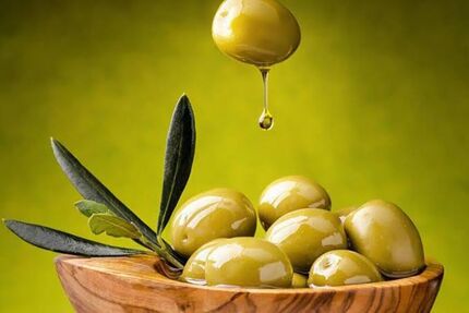 جشنواره ملی زیتون در طارم سفلی برگزار می‌شد