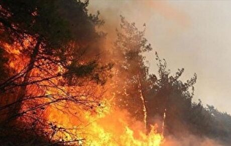 آتش‌سوزی به مراتع و جنگل‌های جلفا رسید