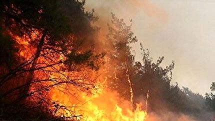 گسترده‌ترین عملیات مهار آتش سوزی جنگلی چالوس با ۶ بالگرد و هواپیمای ایلوشن