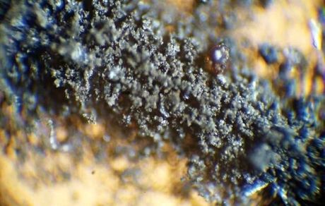 ناسا: خاک ماه و سوسک‌هایمان را پس دهید!