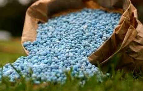 ابعاد نگران‌کننده میلیون‌ها دلار واردات سمی!