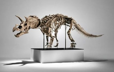 فروش ۵ میلیون دلاری فسیل دایناسور