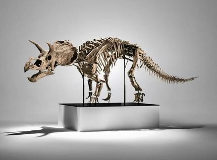 فروش ۵ میلیون دلاری فسیل دایناسور