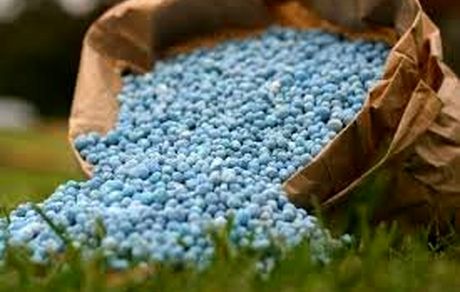 تهاتر ۴۰۰ هزار تن کود اوره ایران با نهاده‌های دامی برزیل