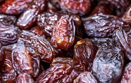 صادرات خرما همچنان ممنوع است