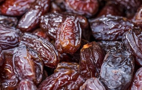 صادرات خرما همچنان ممنوع است