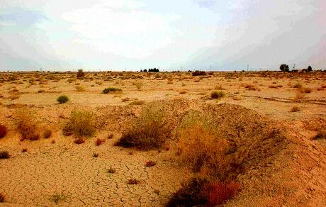 افزایش کانون‌های گرد و خاک نسبت به سال گذشته