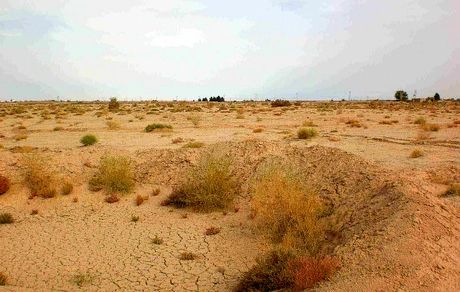 افزایش کانون‌های گرد و خاک نسبت به سال گذشته