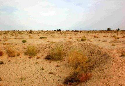 افزایش کانون‌های گرد و خاک نسبت به سال گذشته