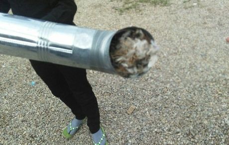 علت مسمومیت دانش آموزان در کاشان مشخص شد