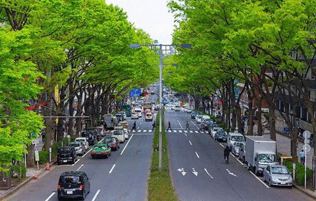 ژاپن خودرو‌های بنزینی را از خیابان‌ها حذف می‌کند