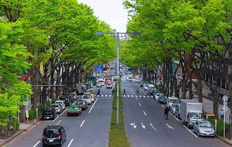 ژاپن خودرو‌های بنزینی را از خیابان‌ها حذف می‌کند