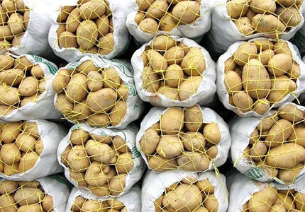 تکمیل سهمیه صادرات سیب زمینی / تعیین مبلغ عوارض خروج برای صادرات در دستور کارگروه