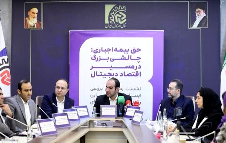 پلتفرم‌ها و نهادهای صنفی اقتصاد دیجیتال حامی بیمه رانندگان، اما مخالف روش اجباری‌اند