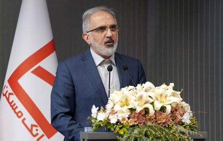 تشریح دستاوردهای کلیدی بانک مسکن در دولت چهاردهم/ سهم ۵۱ درصدی در نهضت ملی
