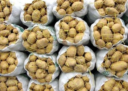 سیب زمینی صادراتی هم برگشت خورد!/دلیل: استفاده از سم چینی