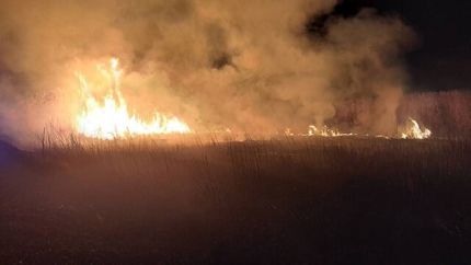 آتش تالاب انزلی خاموش شد