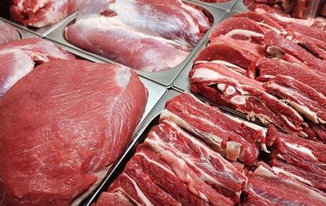 آرامش بازار گوشت تا ماه رمضان/ خرید تضمینی گوشت، دست دلالان را کوتاه می‌کند
