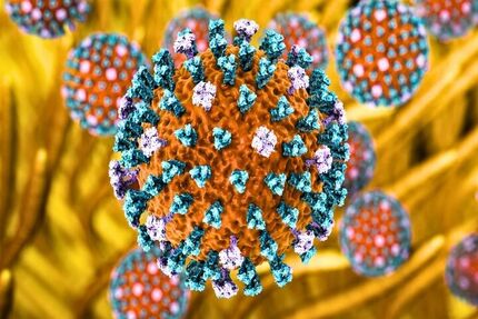 آنفلوانزای پرندگان H9N2 به ایتالیا رسید