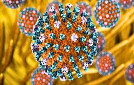 آنفلوانزای پرندگان H9N2 به ایتالیا رسید