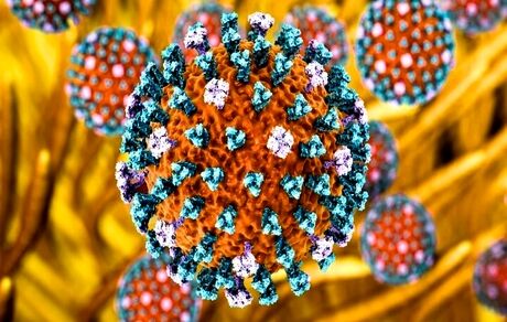 آنفلوانزای پرندگان H9N2 به ایتالیا رسید