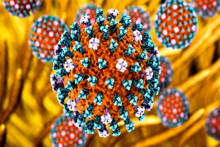 آنفلوانزای پرندگان H9N2 به ایتالیا رسید