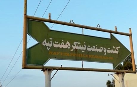 شرکت کشت و صنعت هفت تپه به واگذاری نزدیک شد