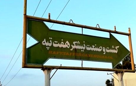 شرکت کشت و صنعت هفت تپه به واگذاری نزدیک شد