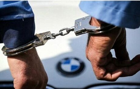 سرقت‌های سریالی بازیگر زن به تقلید از یک فیلم